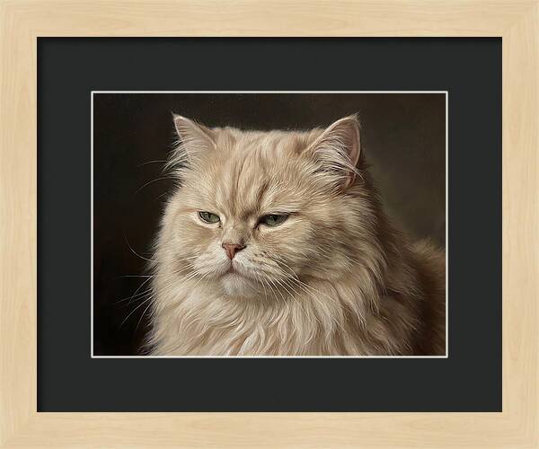 Persian Cat Portrait