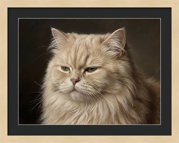 Persian Cat Portrait