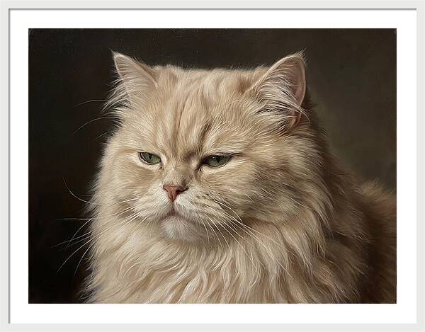 Persian Cat Portrait