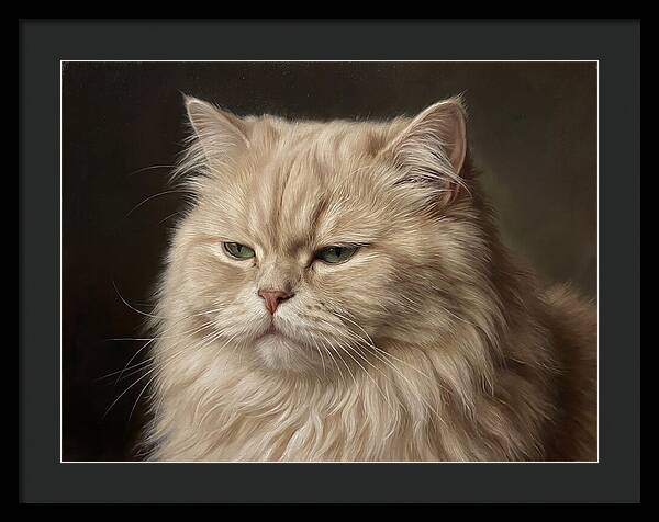 Persian Cat Portrait