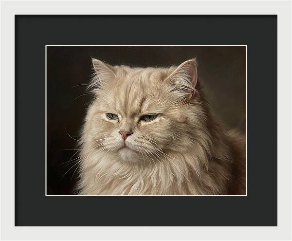 Persian Cat Portrait