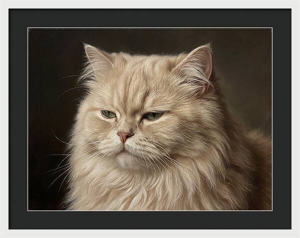 Persian Cat Portrait