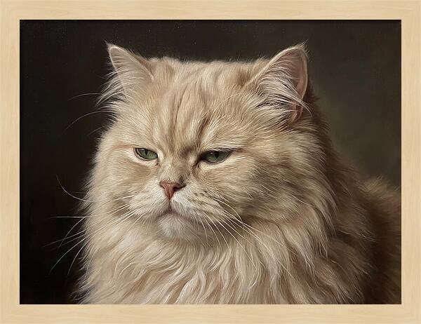 Persian Cat Portrait