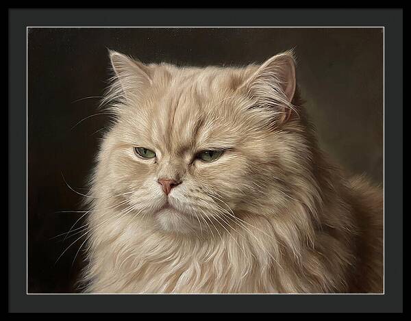 Persian Cat Portrait
