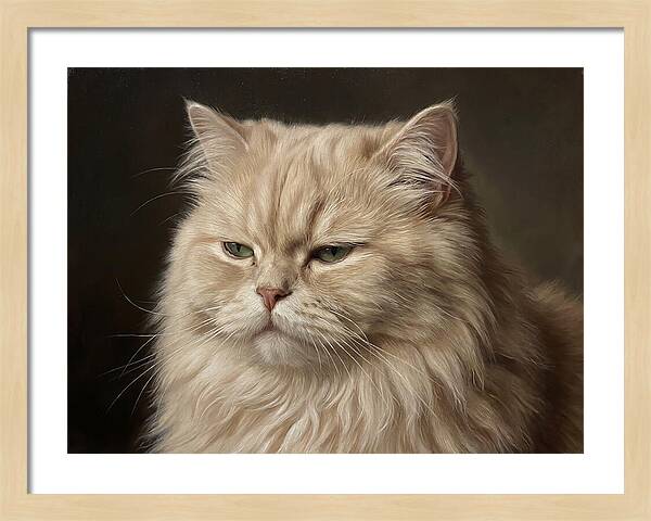Persian Cat Portrait