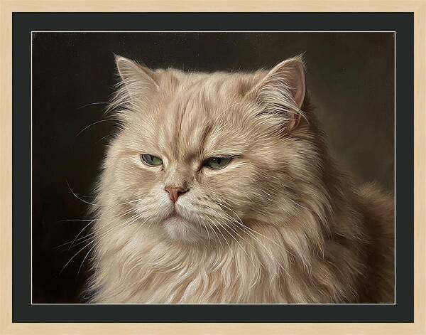 Persian Cat Portrait