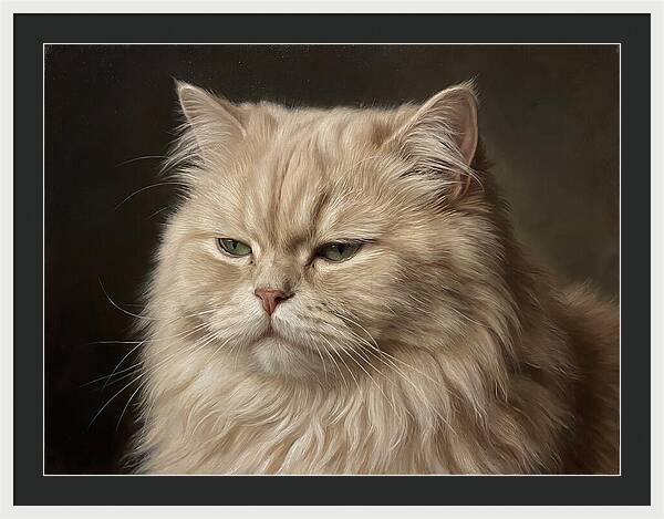 Persian Cat Portrait