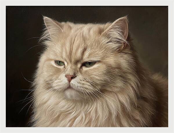 Persian Cat Portrait