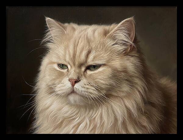 Persian Cat Portrait