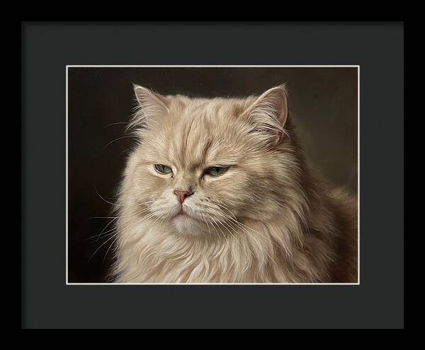 Persian Cat Portrait