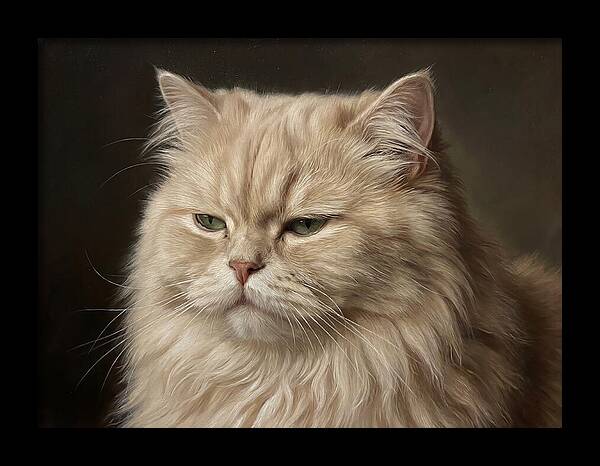 Persian Cat Portrait