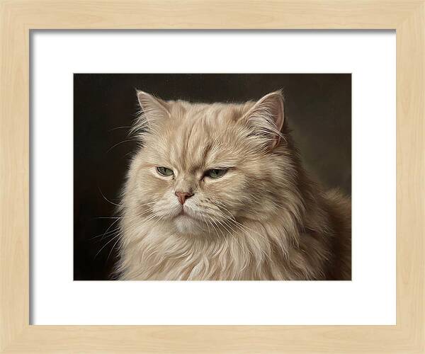 Persian Cat Portrait