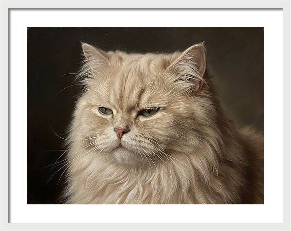 Persian Cat Portrait