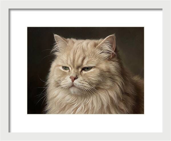 Persian Cat Portrait