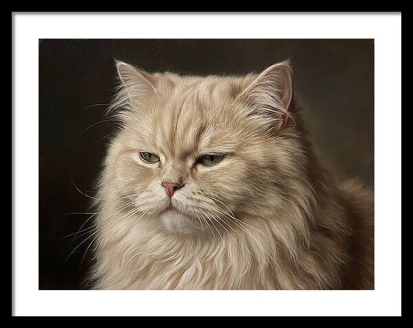 Persian Cat Portrait