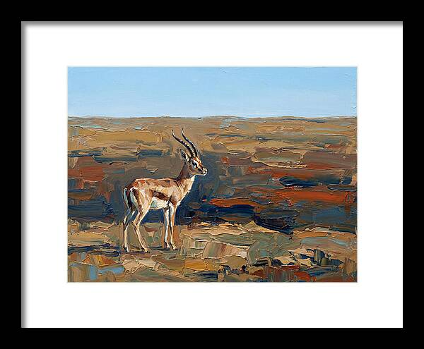 Persian Gazelle In Natural Habitat