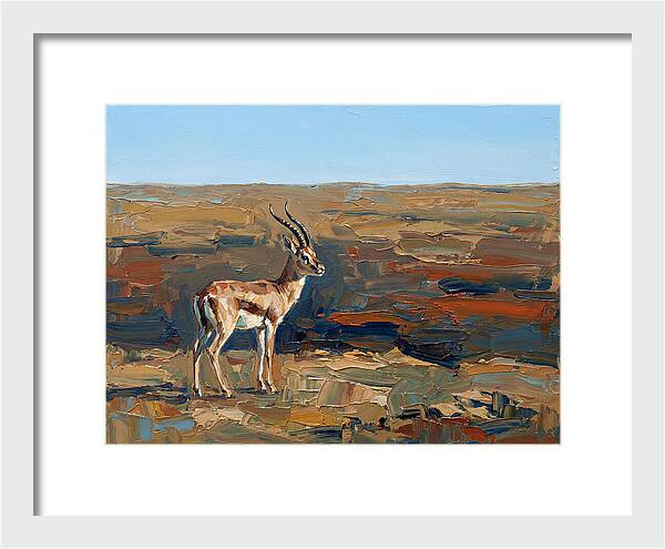 Persian Gazelle In Natural Habitat