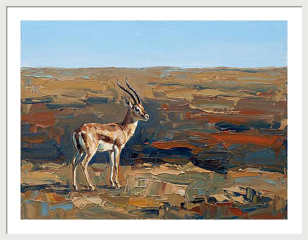 Persian Gazelle In Natural Habitat