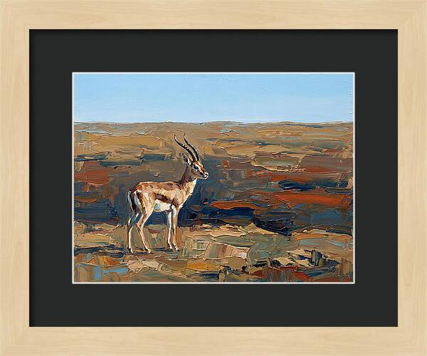 Persian Gazelle In Natural Habitat