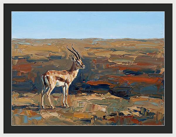 Persian Gazelle In Natural Habitat