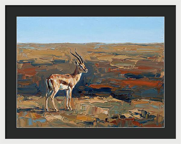 Persian Gazelle In Natural Habitat