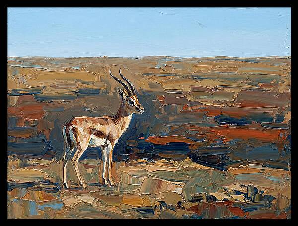 Persian Gazelle In Natural Habitat