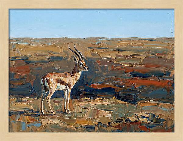 Persian Gazelle In Natural Habitat