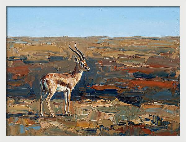 Persian Gazelle In Natural Habitat