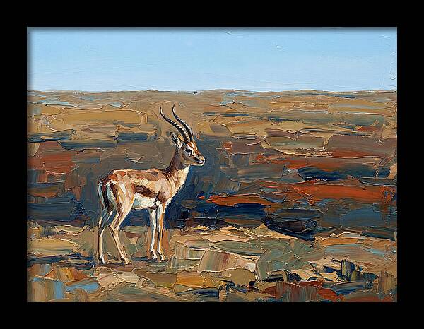 Persian Gazelle In Natural Habitat