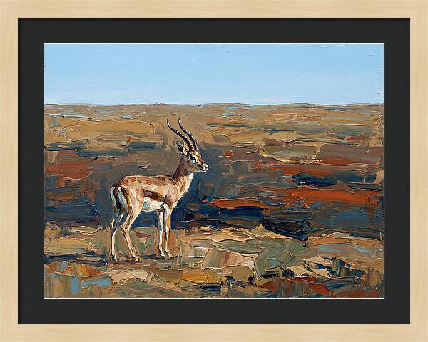Persian Gazelle In Natural Habitat