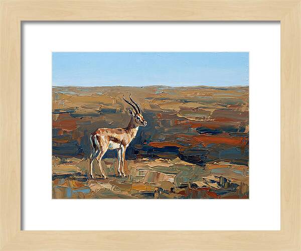 Persian Gazelle In Natural Habitat
