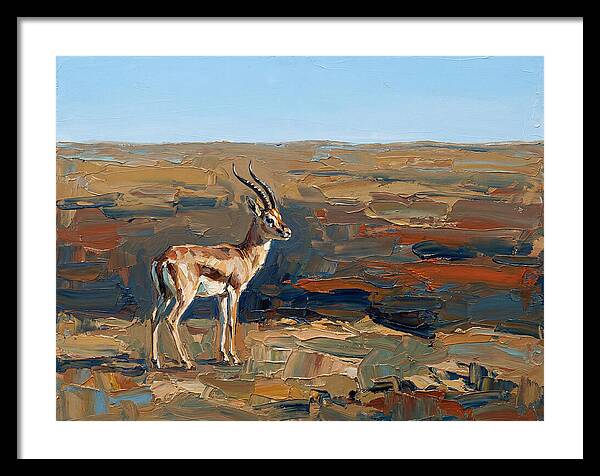 Persian Gazelle In Natural Habitat