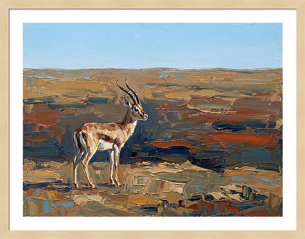 Persian Gazelle In Natural Habitat