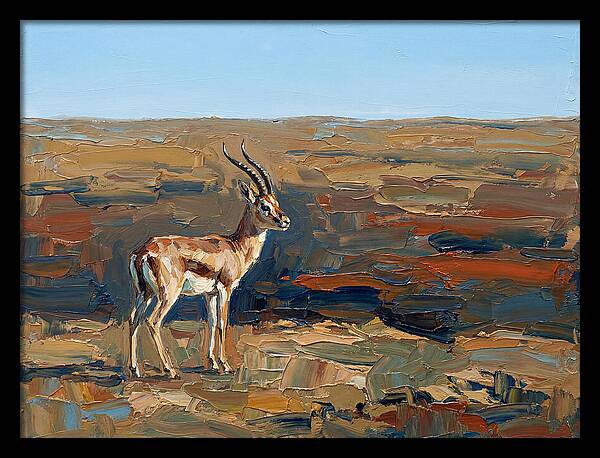 Persian Gazelle In Natural Habitat