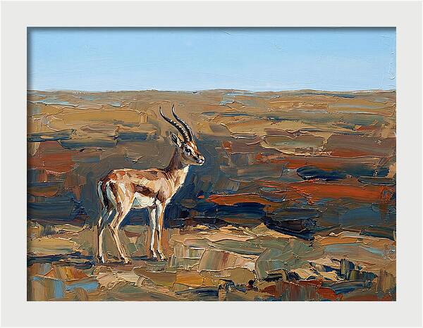Persian Gazelle In Natural Habitat