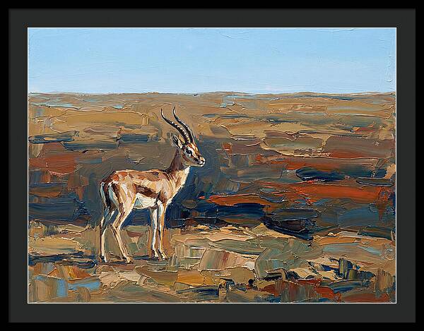 Persian Gazelle In Natural Habitat