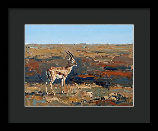 Persian Gazelle In Natural Habitat