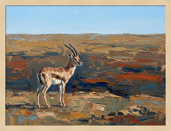 Persian Gazelle In Natural Habitat