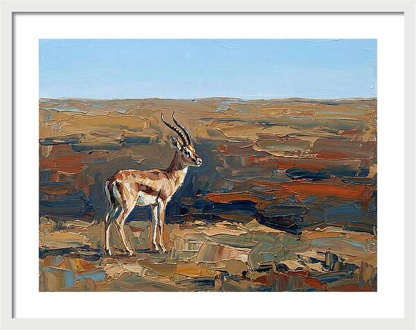 Persian Gazelle In Natural Habitat
