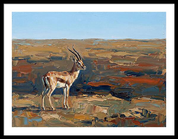 Persian Gazelle In Natural Habitat