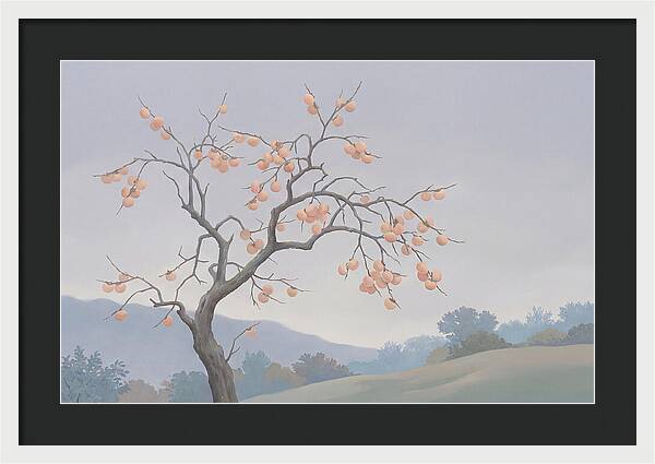 Persimmon Tree In Autumn Light