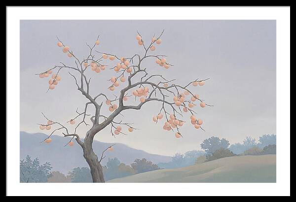 Persimmon Tree In Autumn Light