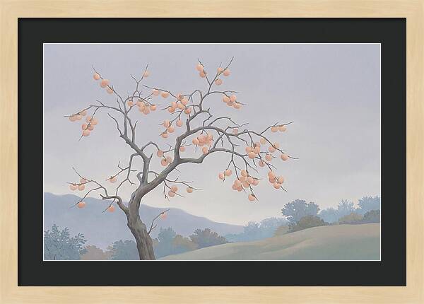 Persimmon Tree In Autumn Light