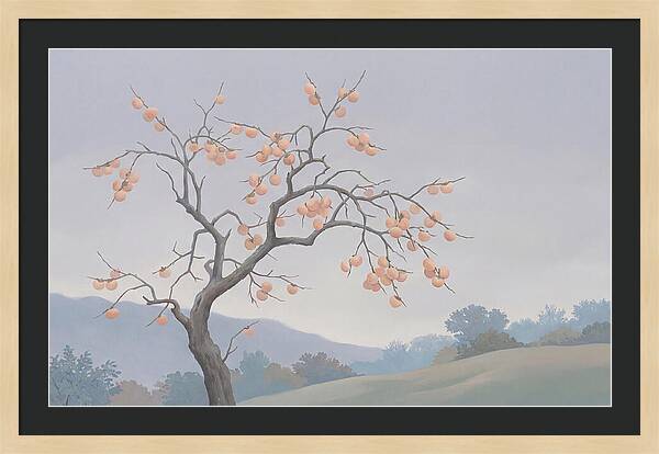 Persimmon Tree In Autumn Light
