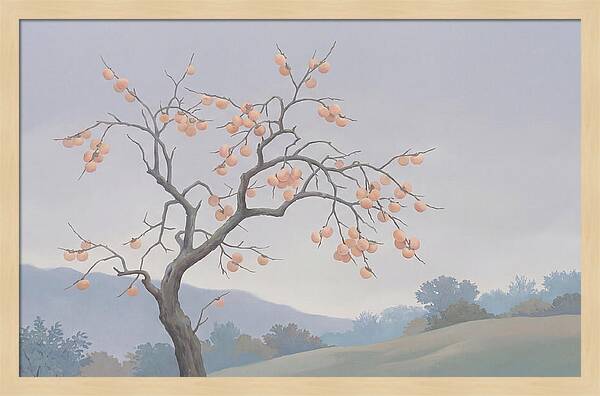 Persimmon Tree In Autumn Light