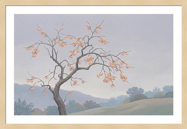 Persimmon Tree In Autumn Light