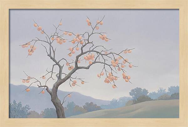 Persimmon Tree In Autumn Light