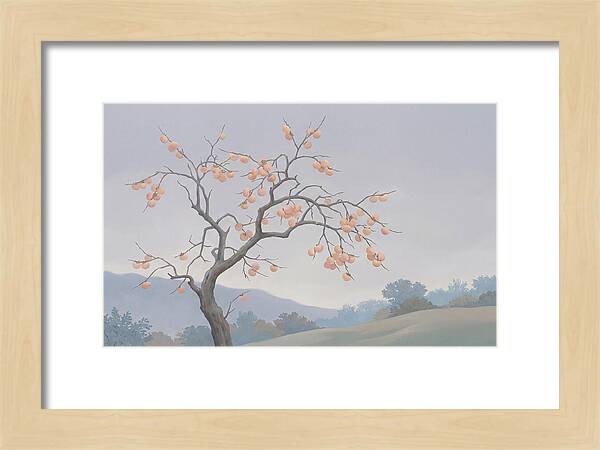 Persimmon Tree In Autumn Light