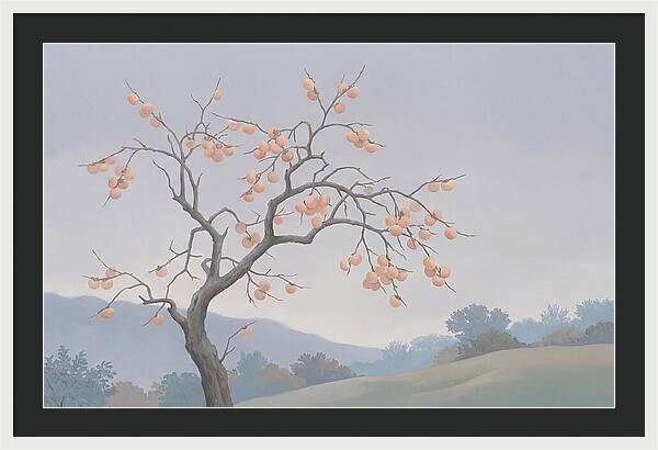 Persimmon Tree In Autumn Light