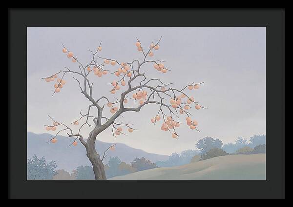 Persimmon Tree In Autumn Light